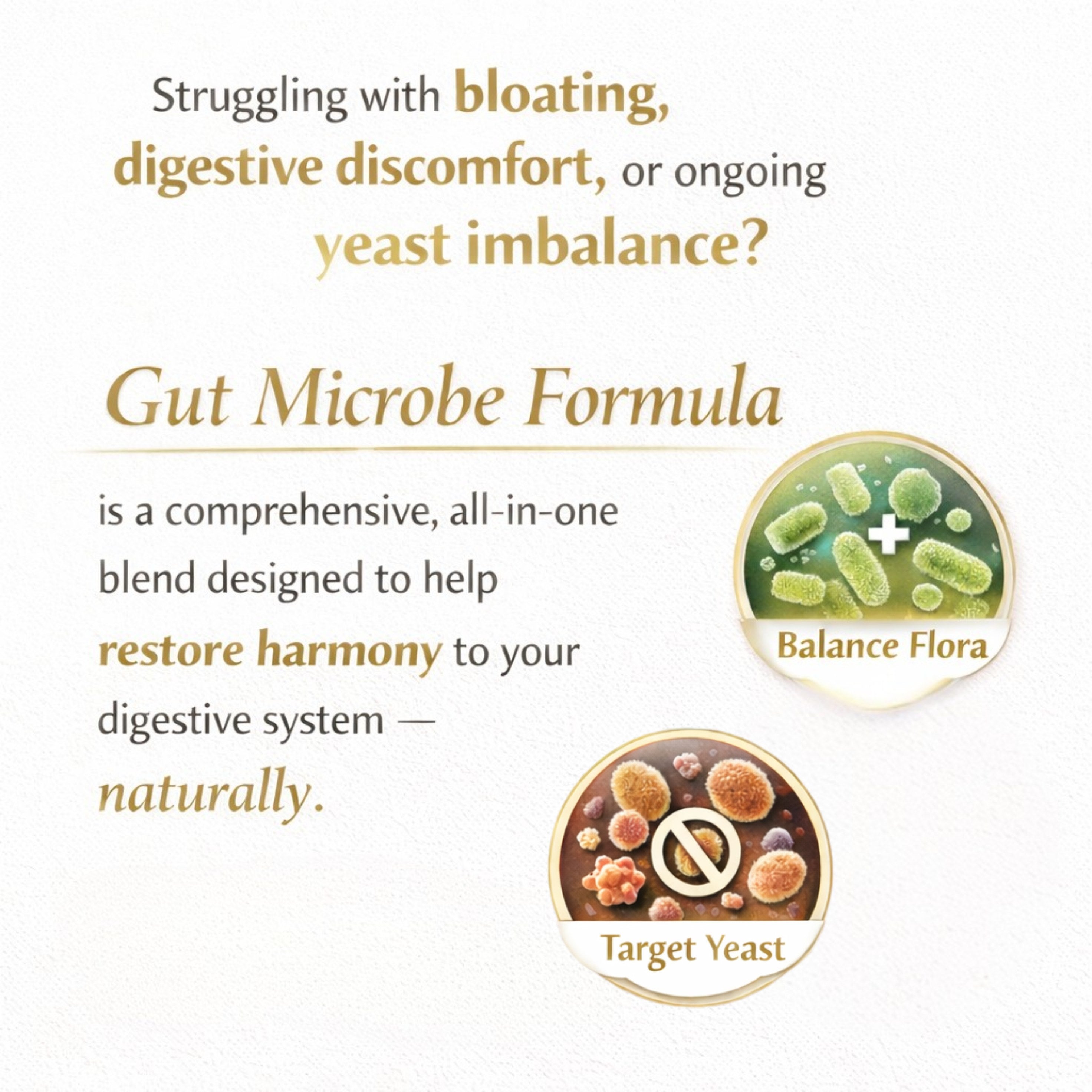 Gut Microbe Formula